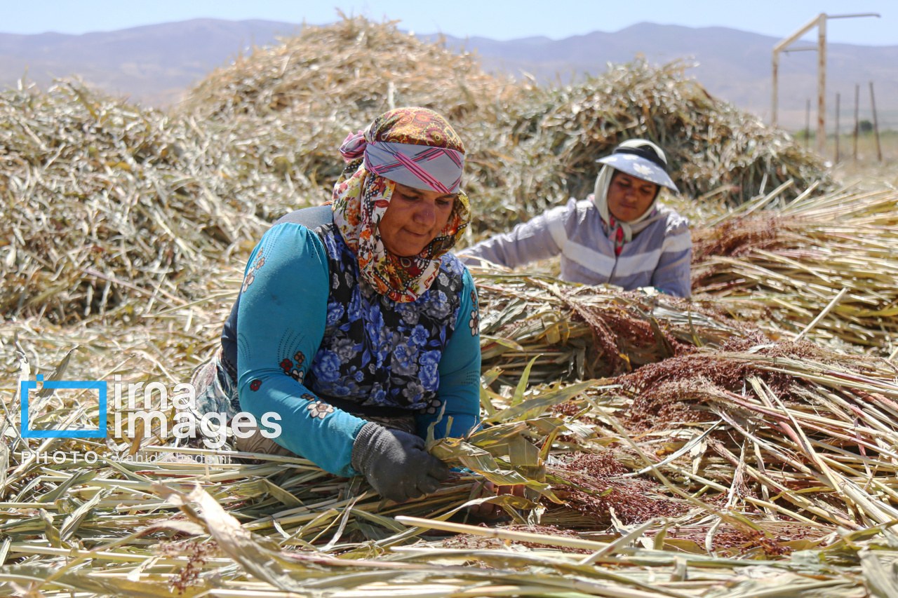 چتر حمایت بیمه‌ای بر سر ۵۶ درصد جمعیت روستایی خراسان شمالی