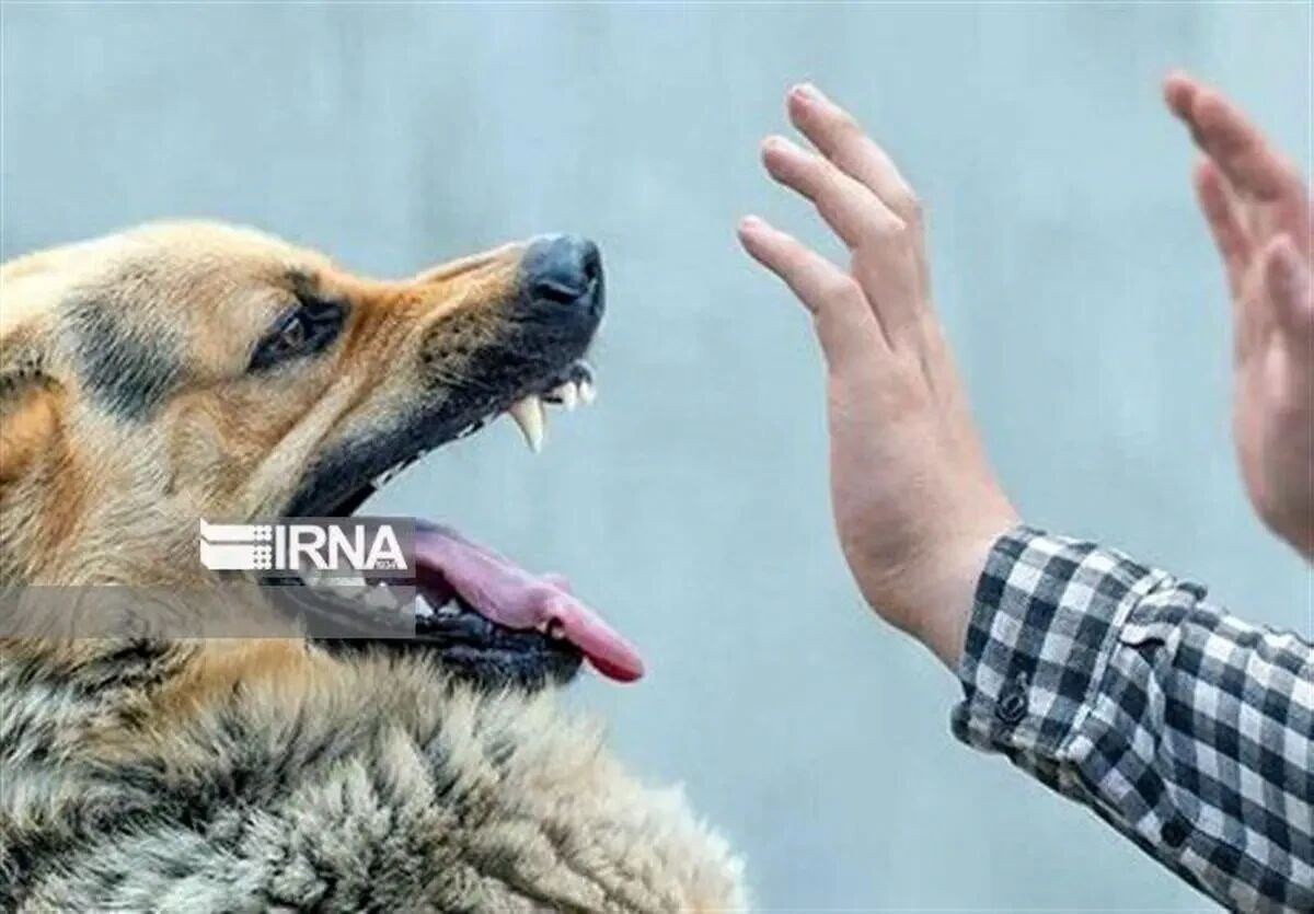 کاهش هزینه‌های زندگی در خراسان شمالی با مسوولیت‌پذیری و مدیریت صحیح