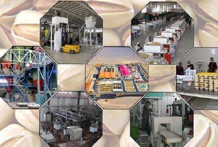 بخش اقتصادی در شرایط جنگی باید حمایت شود