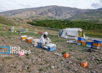 بسیج بجنورد ۷۰۰ میلیارد ریال وام اشتغال پرداخت کرد