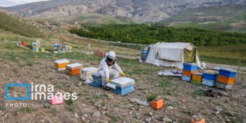 بسیج بجنورد ۷۰۰ میلیارد ریال وام اشتغال پرداخت کرد