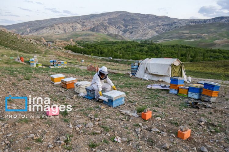 بسیج بجنورد ۷۰۰ میلیارد ریال وام اشتغال پرداخت کرد