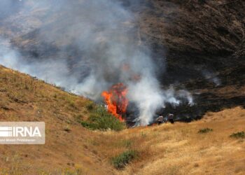 ۱۲ هکتار از مراتع باغان خراسان شمالی طعمه آتش شد