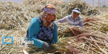 چتر حمایت بیمهای بر سر ۵۶ درصد جمعیت روستایی خراسان شمالی