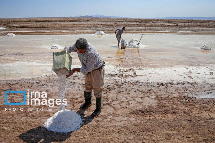 کال‌شور جاجرم بلورهای زیبا اما مرگبار