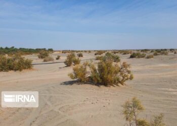 ۱۲۹ میلیارد ریال برای مهار بیابان‌زایی در خراسان شمالی اختصاص یافت