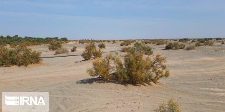 ۱۲۹ میلیارد ریال برای مهار بیابانزایی در خراسان شمالی اختصاص یافت