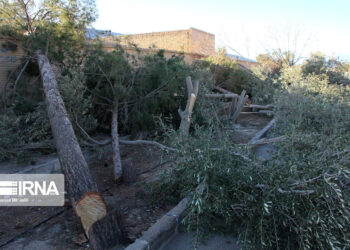 خداحافظی با درختان خطرساز بجنورد