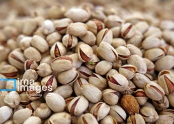 پسته خراسان شمالی ۲۴ هزار میلیارد ریال ارزش‌افزوده دارد