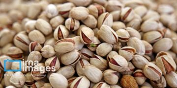 پسته خراسان شمالی ۲۴ هزار میلیارد ریال ارزشافزوده دارد