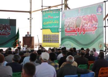 ارزش‌آفرینی پسته باید از روی زمین و باغ آغاز شود