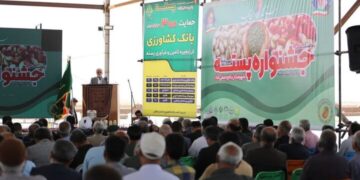 ارزشآفرینی پسته باید از روی زمین و باغ آغاز شود