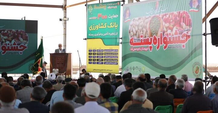 ارزشآفرینی پسته باید از روی زمین و باغ آغاز شود