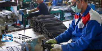 ۶۵ درصد فارغالتحصیلان دانشگاههای ملی مهارت جذب بازار کار میشوند