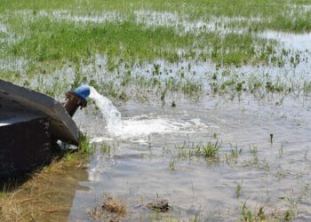 بازار سیاه آب در خراسان‌شمالی سودجویی در دل خشکسالی