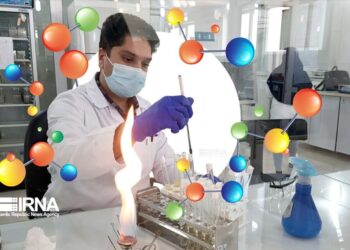 درخشش دانشگاه‌های خراسان شمالی در میان برترین‌های جهان