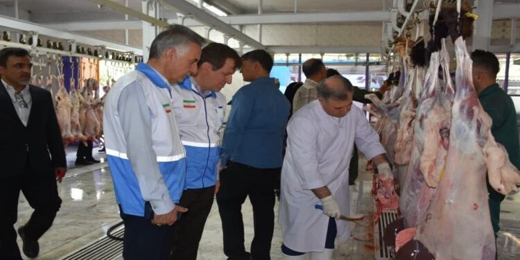 توقیف ۸۳۰ تن فرآورده خام دامی غیربهداشتی در خراسان رضوی