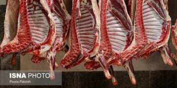 توزیع روزانه ۲۰۰ تن گوشت وارداتی در بازار برای تنظیم بازار و کنترل قیمت‌ها