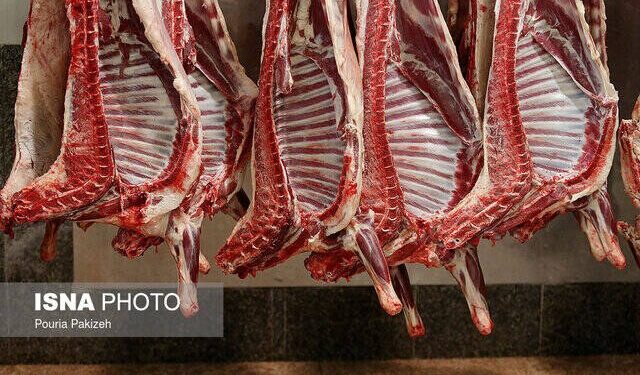 توزیع روزانه ۲۰۰ تن گوشت وارداتی در بازار برای تنظیم بازار و کنترل قیمتها