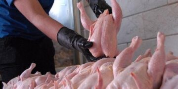 قیمت مصوب مرغ به ۱۳۵ هزار تومان رسید بازار در مسیر ثبات