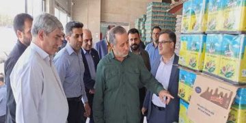خراسان جنوبی