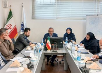 تداخل اصناف بازرگانی مسافرتی