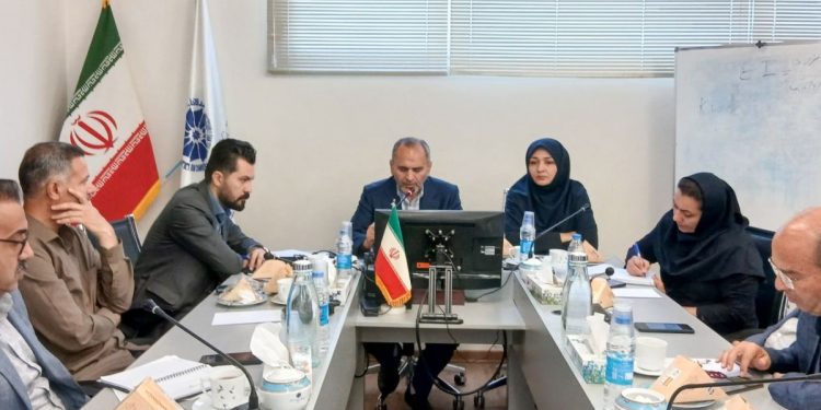 تداخل اصناف بازرگانی مسافرتی